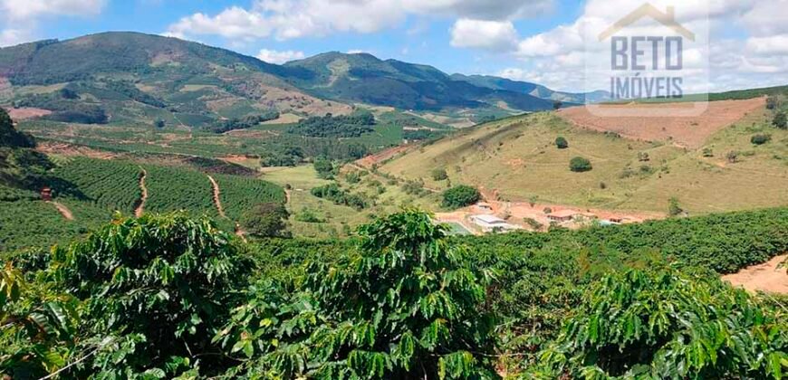 Fazenda Lavoura de Café com 78 hectares e área de pasto | Caputira/ MG