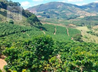 Fazenda Lavoura de Café com 78 hectares e área de pasto | Caputira/ MG Fazenda Lavoura de Café com 78 hectares e área de pasto | Caputira/ MG