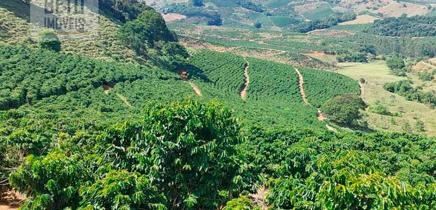 Fazenda Lavoura de Café com 78 hectares e área de pasto | Caputira/ MG