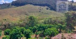 Fazenda Lavoura de Café com 78 hectares e área de pasto | Caputira/ MG