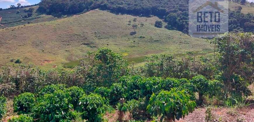 Fazenda Lavoura de Café com 78 hectares e área de pasto | Caputira/ MG