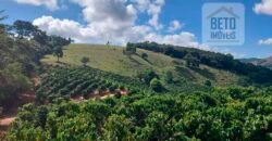 Fazenda Lavoura de Café com 78 hectares e área de pasto | Caputira/ MG