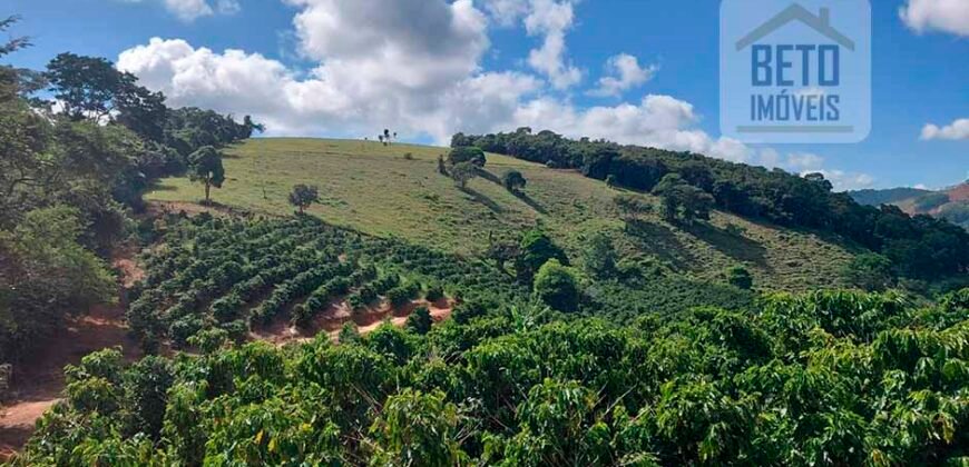 Fazenda Lavoura de Café com 78 hectares e área de pasto | Caputira/ MG