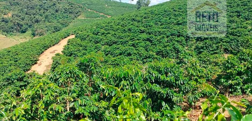 Fazenda Lavoura de Café com 78 hectares e área de pasto | Caputira/ MG