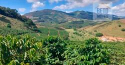Fazenda Lavoura de Café com 78 hectares e área de pasto | Caputira/ MG