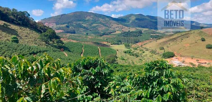 Fazenda Lavoura de Café com 78 hectares e área de pasto | Caputira/ MG
