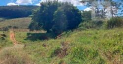 Fazenda Lavoura de Café com 78 hectares e área de pasto | Caputira/ MG