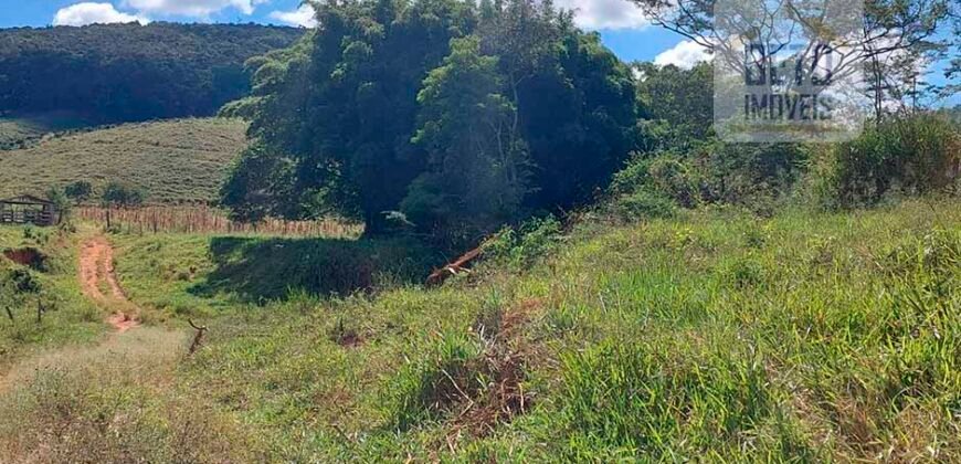 Fazenda Lavoura de Café com 78 hectares e área de pasto | Caputira/ MG