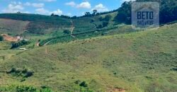 Fazenda Lavoura de Café com 78 hectares e área de pasto | Caputira/ MG