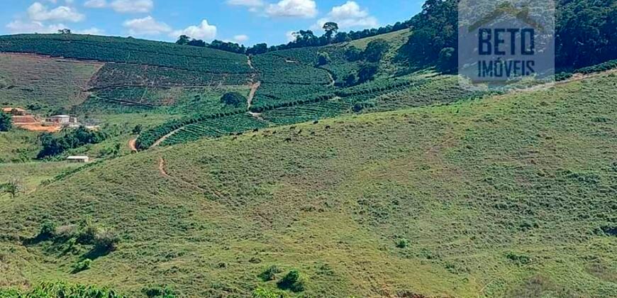 Fazenda Lavoura de Café com 78 hectares e área de pasto | Caputira/ MG
