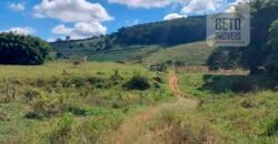 Fazenda Lavoura de Café com 78 hectares e área de pasto | Caputira/ MG