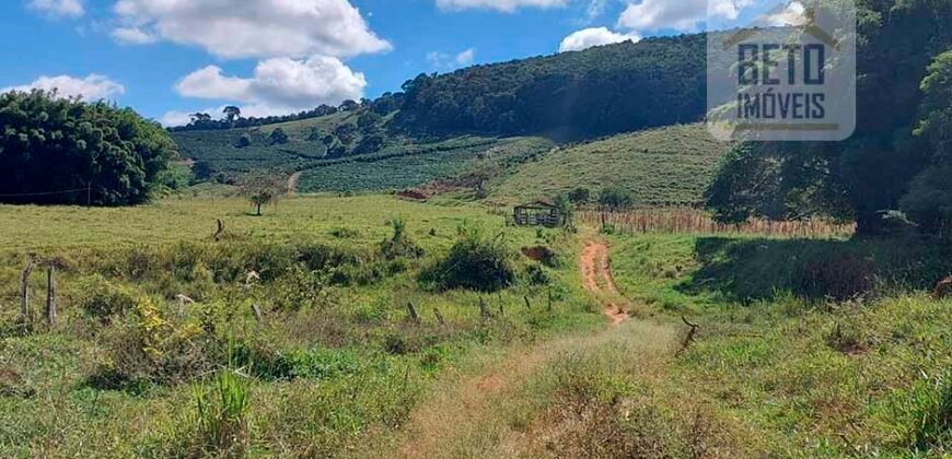 Fazenda Lavoura de Café com 78 hectares e área de pasto | Caputira/ MG