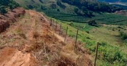 Fazenda Lavoura de Café com 78 hectares e área de pasto | Caputira/ MG