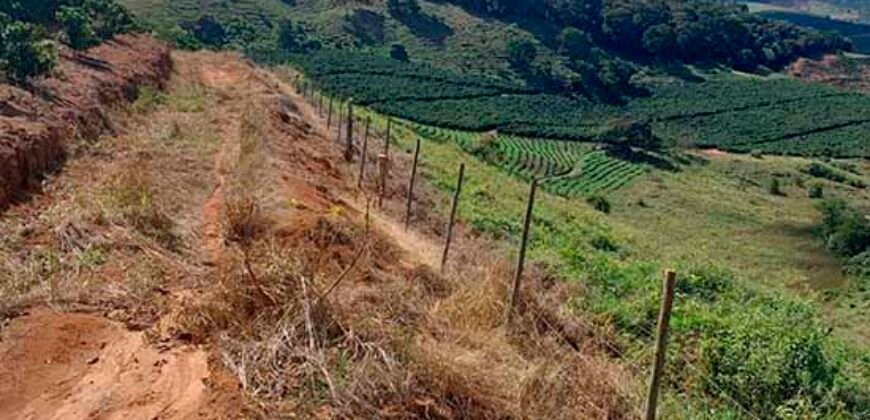Fazenda Lavoura de Café com 78 hectares e área de pasto | Caputira/ MG