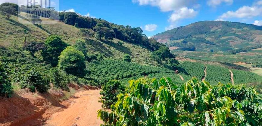 Fazenda Lavoura de Café com 78 hectares e área de pasto | Caputira/ MG
