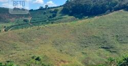 Fazenda Lavoura de Café com 78 hectares e área de pasto | Caputira/ MG