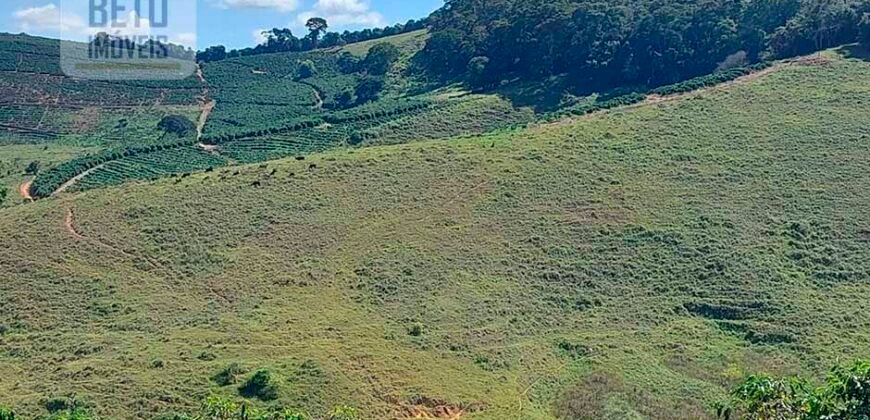 Fazenda Lavoura de Café com 78 hectares e área de pasto | Caputira/ MG