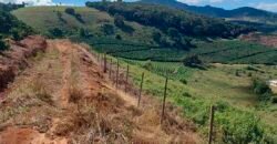 Fazenda Lavoura de Café com 78 hectares e área de pasto | Caputira/ MG