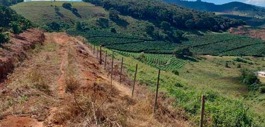 Fazenda Lavoura de Café com 78 hectares e área de pasto | Caputira/ MG