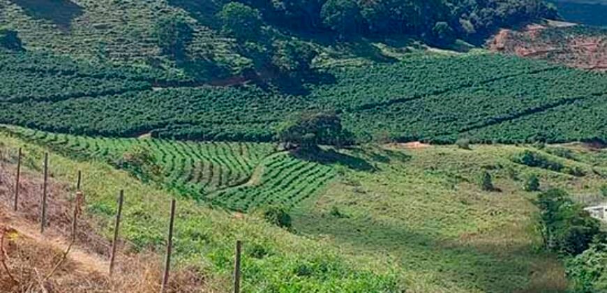 Fazenda Lavoura de Café com 78 hectares e área de pasto | Caputira/ MG