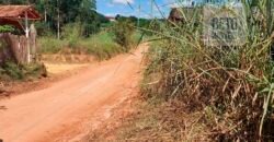 Fazenda Lavoura de Café com 78 hectares e área de pasto | Caputira/ MG