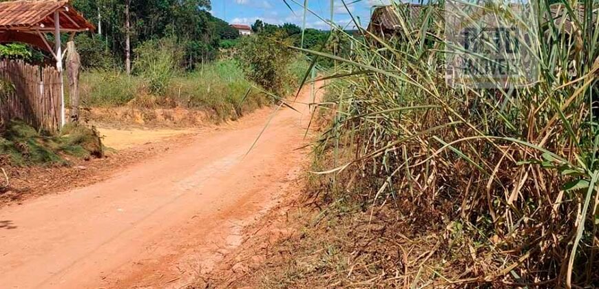 Fazenda Lavoura de Café com 78 hectares e área de pasto | Caputira/ MG