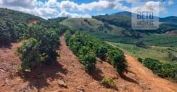 Fazenda Lavoura de Café com 78 hectares e área de pasto | Caputira/ MG