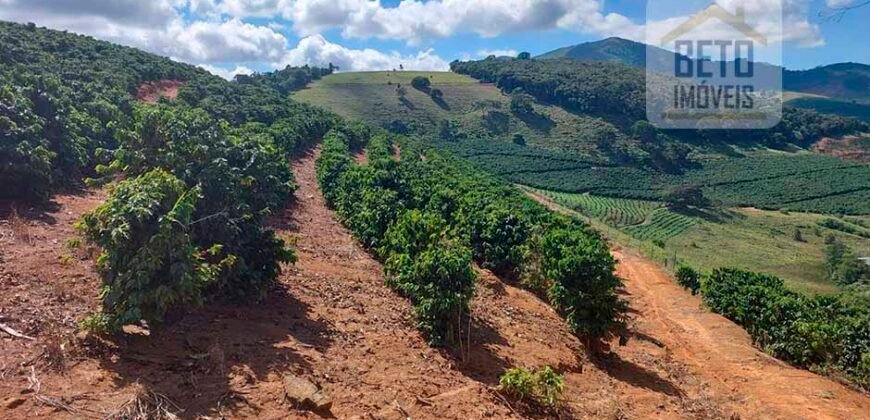 Fazenda Lavoura de Café com 78 hectares e área de pasto | Caputira/ MG