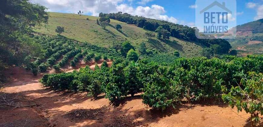 Fazenda Lavoura de Café com 78 hectares e área de pasto | Caputira/ MG