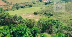 Fazenda Lavoura de Café com 78 hectares e área de pasto | Caputira/ MG