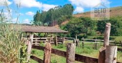 Fazenda Lavoura de Café com 78 hectares e área de pasto | Caputira/ MG