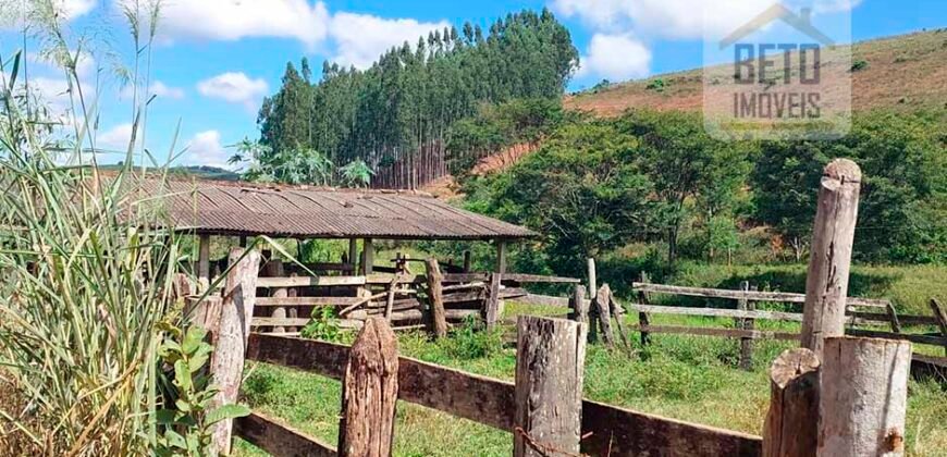 Fazenda Lavoura de Café com 78 hectares e área de pasto | Caputira/ MG