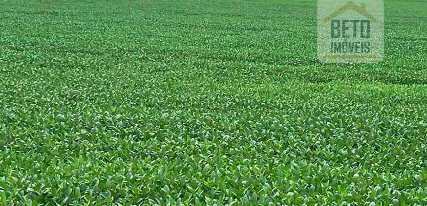 Excelente Fazenda com pista de pouso e 17.125 hectares | Araguaína/ TO