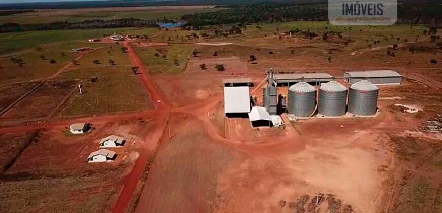 Fazenda Dupla Aptidão com 2.318 alqueires Pecuária e Agricultura | Vale do Araguaia/ TO