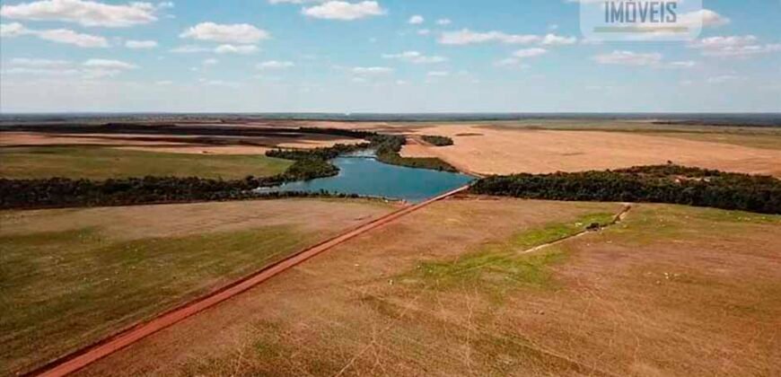 Fazenda Dupla Aptidão com 2.318 alqueires Pecuária e Agricultura | Vale do Araguaia/ TO