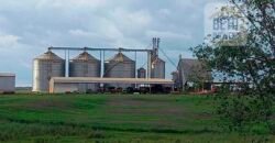 Fazenda Dupla Aptidão com 2.318 alqueires Pecuária e Agricultura | Vale do Araguaia/ TO