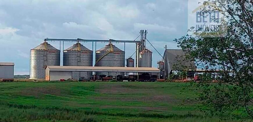 Fazenda Dupla Aptidão com 2.318 alqueires Pecuária e Agricultura | Vale do Araguaia/ TO