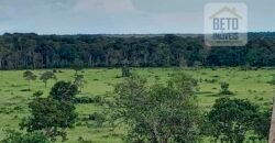 Fazenda Dupla Aptidão com 2.318 alqueires Pecuária e Agricultura | Vale do Araguaia/ TO