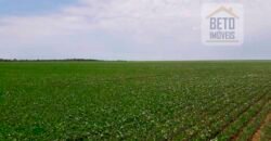 Fazenda Dupla Aptidão com 2.318 alqueires Pecuária e Agricultura | Vale do Araguaia/ TO