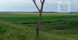 Fazenda Dupla Aptidão com 2.318 alqueires Pecuária e Agricultura | Vale do Araguaia/ TO