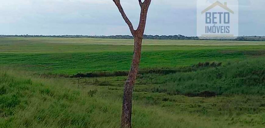 Fazenda Dupla Aptidão com 2.318 alqueires Pecuária e Agricultura | Vale do Araguaia/ TO