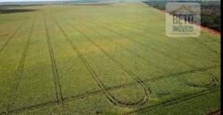 Fazenda Dupla Aptidão com 2.318 alqueires Pecuária e Agricultura | Vale do Araguaia/ TO