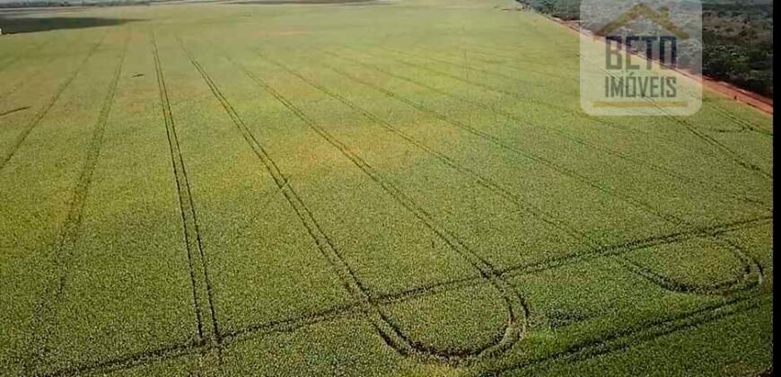 Fazenda Dupla Aptidão com 2.318 alqueires Pecuária e Agricultura | Vale do Araguaia/ TO