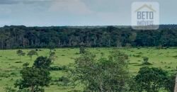 Fazenda Dupla Aptidão com 2.318 alqueires Pecuária e Agricultura | Vale do Araguaia/ TO