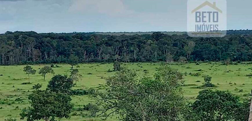 Fazenda Dupla Aptidão com 2.318 alqueires Pecuária e Agricultura | Vale do Araguaia/ TO