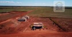 Fazenda Dupla Aptidão com 2.318 alqueires Pecuária e Agricultura | Vale do Araguaia/ TO