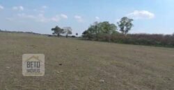 Fazenda 22.070 hectares com logística e áreas de pastos natural | Cáceres/ MT