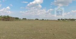 Fazenda 22.070 hectares com logística e áreas de pastos natural | Cáceres/ MT
