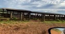 Fazenda com 2.200 hectares pronta para Pasto e lavoura | Guarantã do Norte/ MT