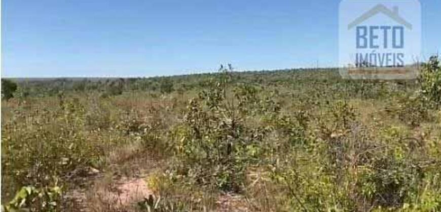 Fazenda TOP Produtiva Lavoura Pasto 46.623 hectares e Pista de Pouso | Paragominas/ PA